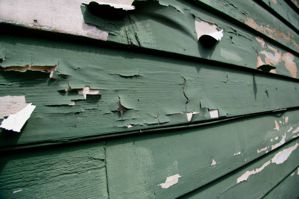 Best Construction Debris Removal  in Navarre, OH